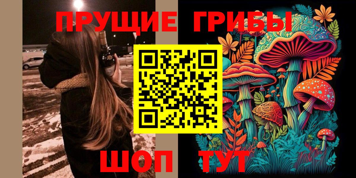 наркошоп  Галлюциногенные грибы Psilocybe  Вход с VPN  Сибай 